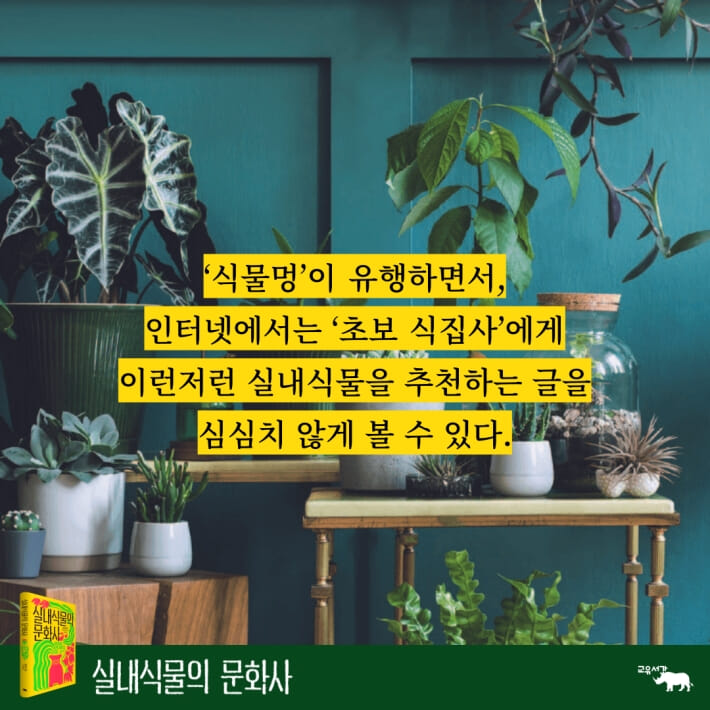 카드뉴스1