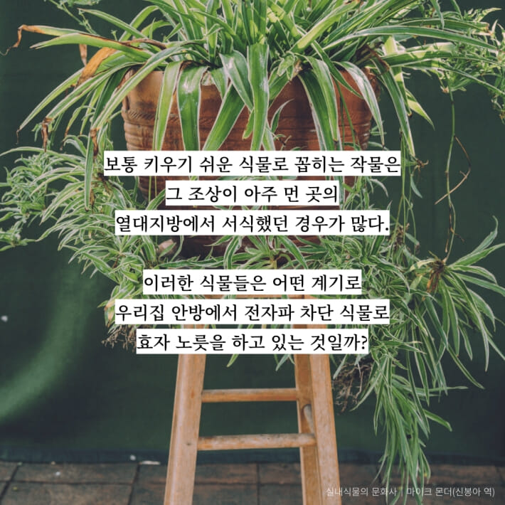 카드뉴스2