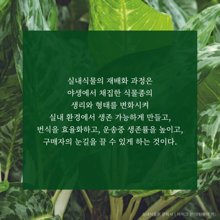카드뉴스4