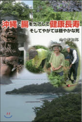 沖繩で腸をケアして健康長壽そしてやがては