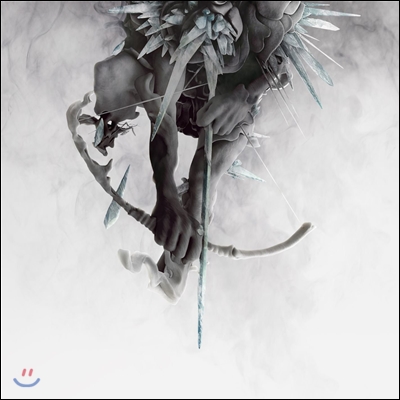 Linkin Park - The Hunting Party 린킨 파크 6집 [2 LP]