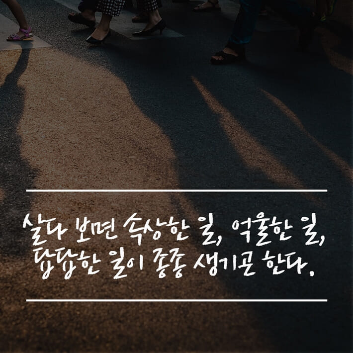 카드뉴스1