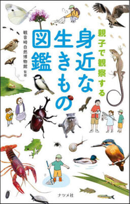 親子で觀察する 身近な生きもの圖鑑