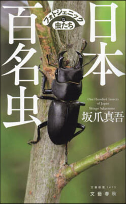 日本百名蟲 フォトジェニックな蟲たち
