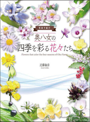 寫眞で紹介奧八女の四季を彩る花花たち