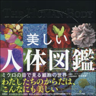 美しい人體圖鑑 ミクロの目で見る細胞の世