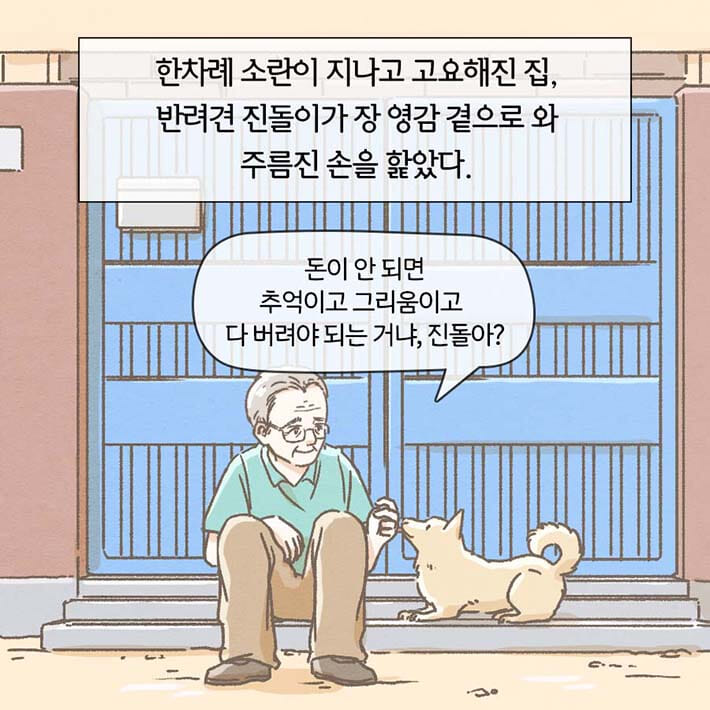 카드뉴스