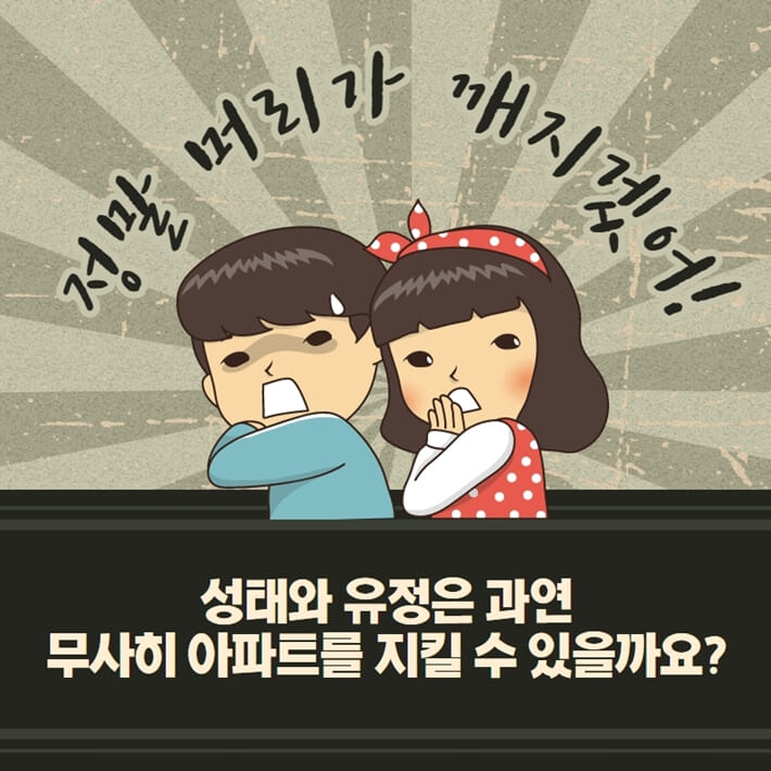 카드뉴스6