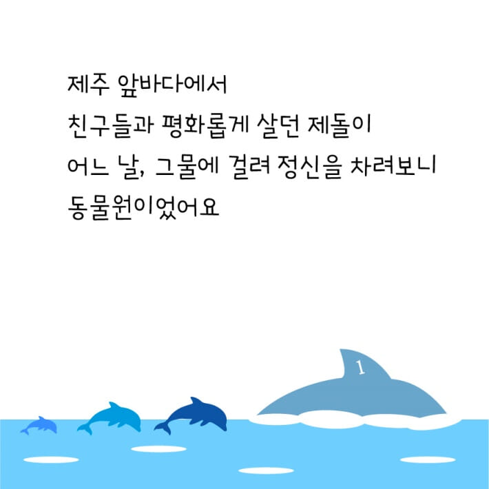 푸른 돌고래 알약