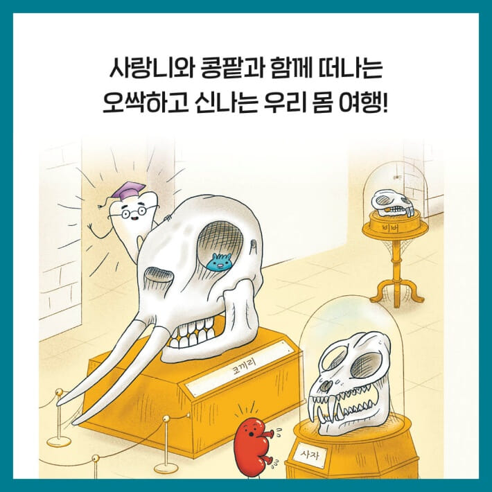 카드뉴스2