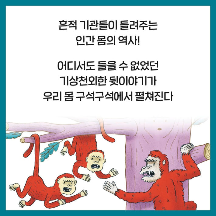 카드뉴스8