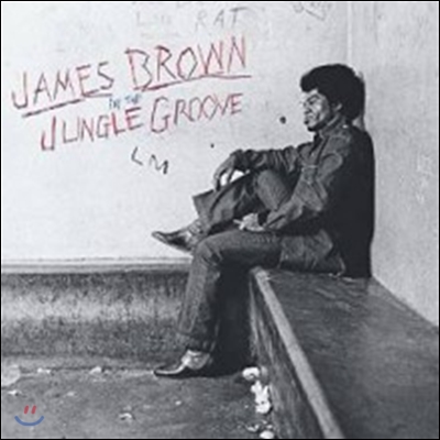 James Brown - In The Jungle Groove