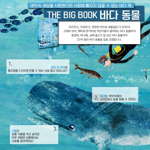 아트 사이언스 THE BIG BOOK 시리즈 4권세트