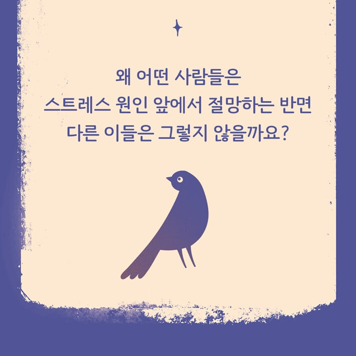 카드뉴스1