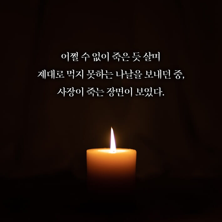 카드뉴스4