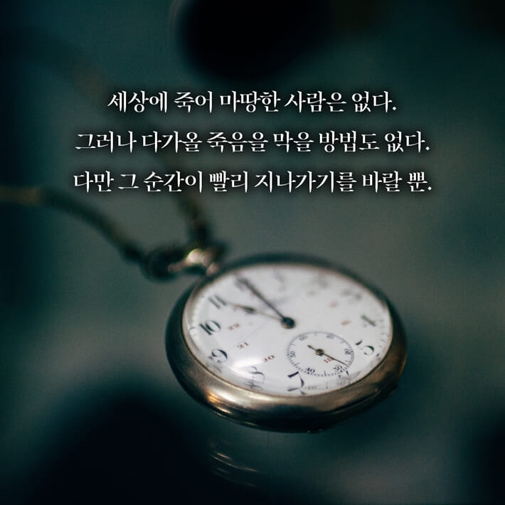카드뉴스5
