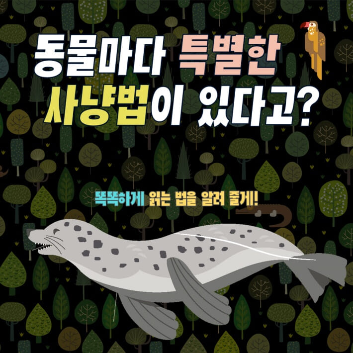 카드뉴스1