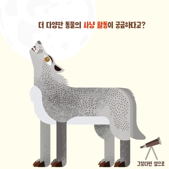 카드뉴스7