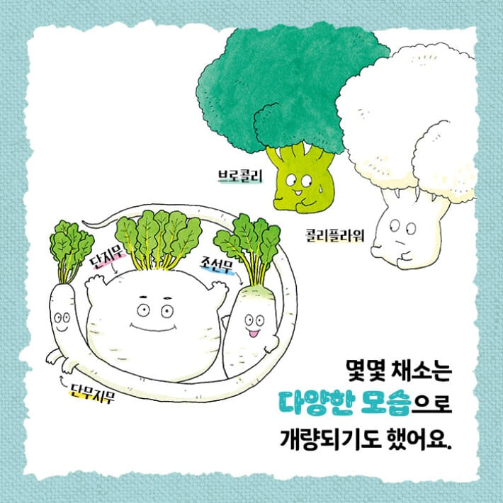 카드뉴스4