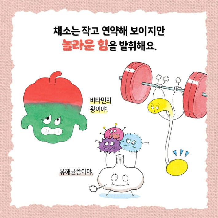 카드뉴스5