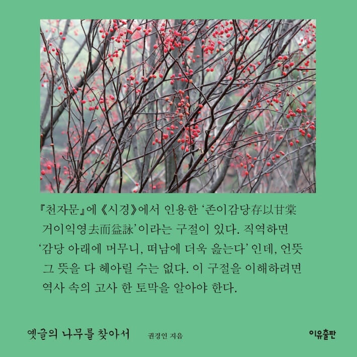 카드뉴스3