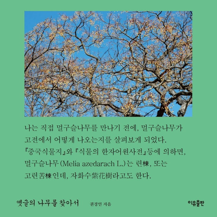 카드뉴스5