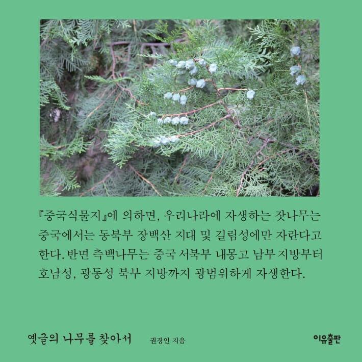 카드뉴스6