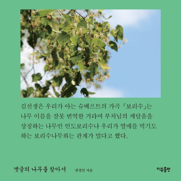 카드뉴스7
