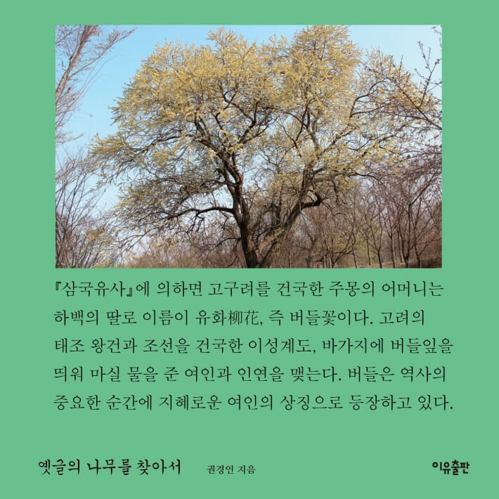 카드뉴스9