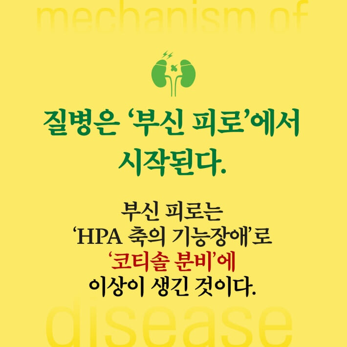 카드뉴스3