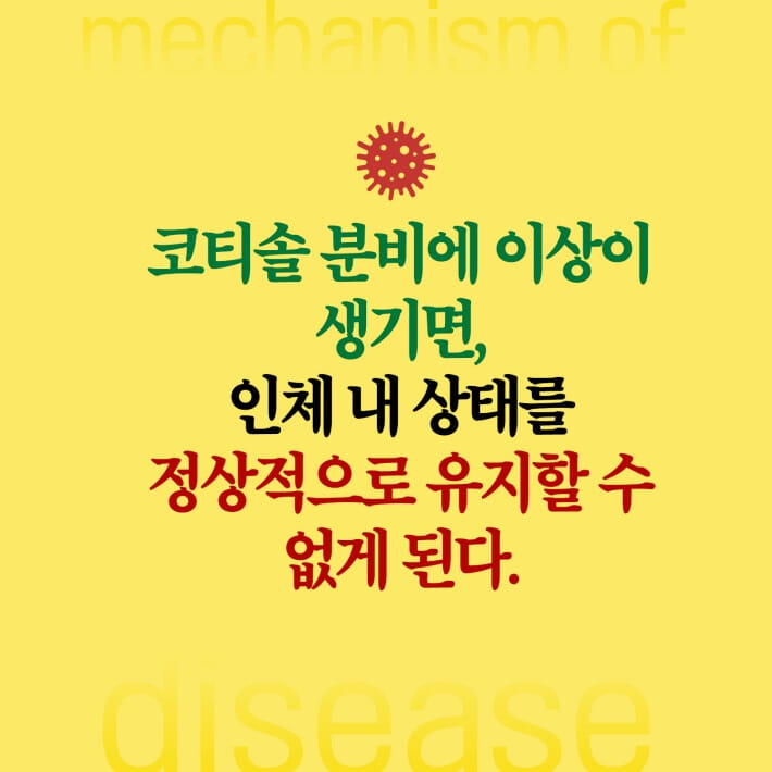 카드뉴스4