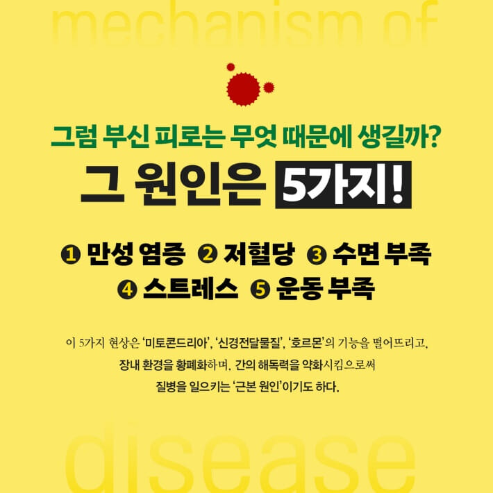 카드뉴스5
