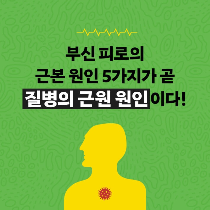 카드뉴스6