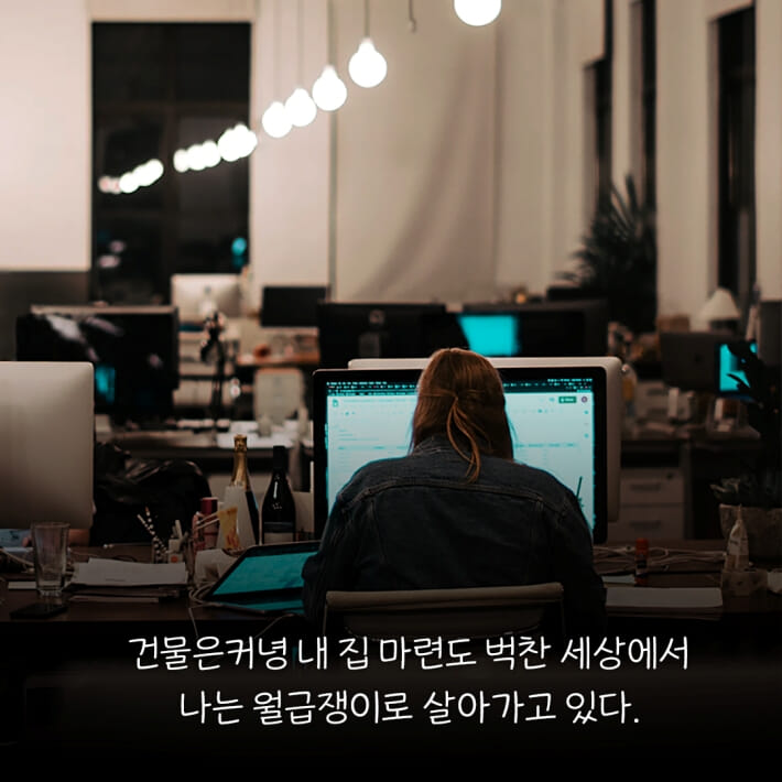 카드뉴스3