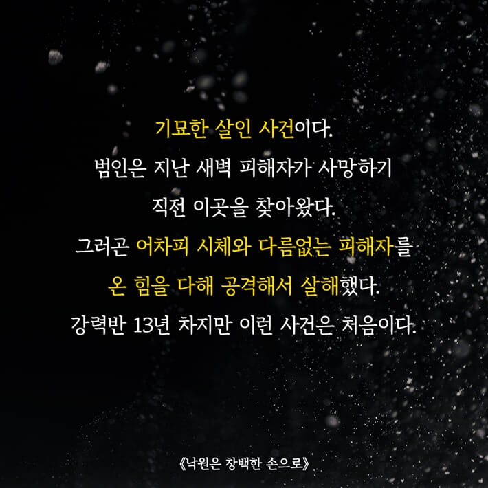 카드뉴스5
