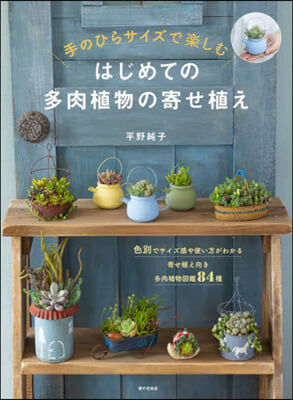 はじめての多肉植物の寄せ植え