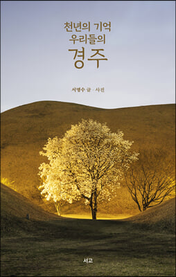 천년의 기억 우리들의 경주