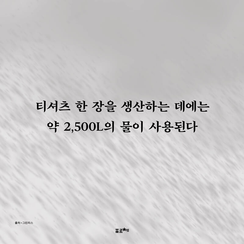 카드뉴스6