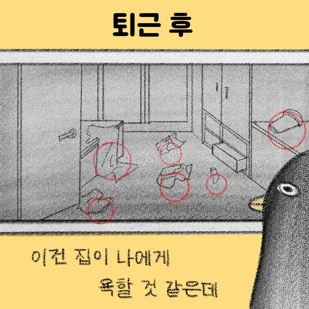 카드뉴스6