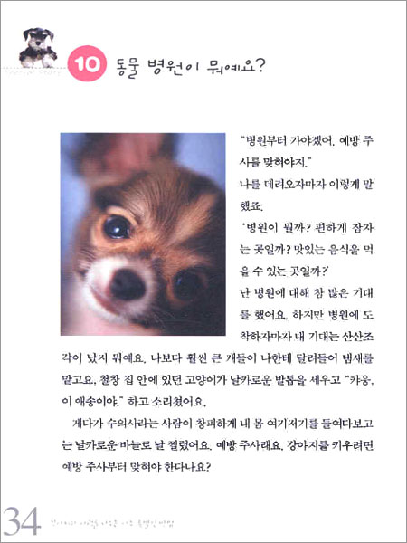 강아지와 사랑을 나누는 아주 특별한 방법