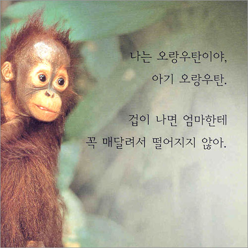 열대 우림에 사는 아기 동물들