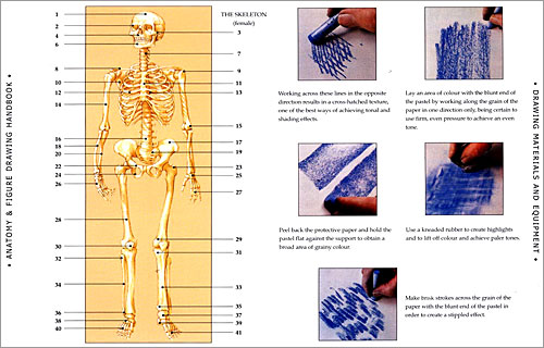 Anatomy & Figure Drawing Handbook