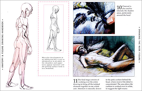 Anatomy & Figure Drawing Handbook