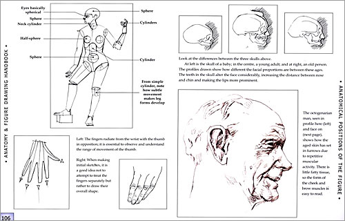 Anatomy & Figure Drawing Handbook