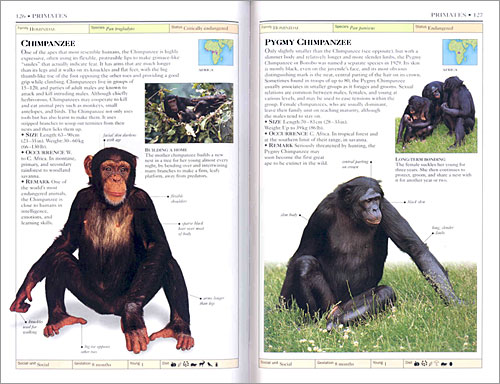 DK Handbooks: Mammals