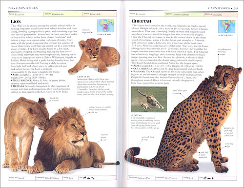 DK Handbooks: Mammals