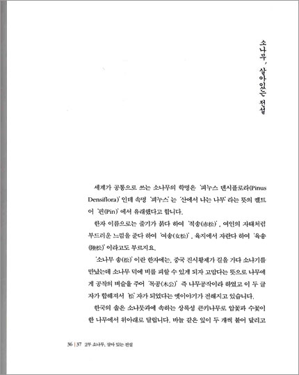 한국의 소나무