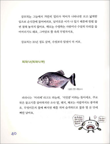 엄마도 몰랐던 교실 밖의 상식 이야기 (상)