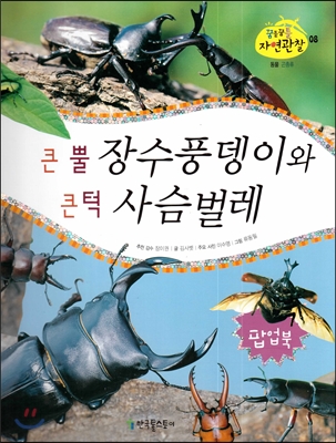 꿈틀꿈틀 자연관찰 08 큰 뿔 장수풍뎅이와 큰 턱 사슴벌레 (동물 - 곤충류) (팝업북) (양장)