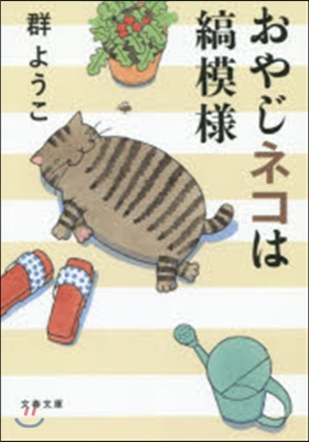 おやじネコは縞模樣